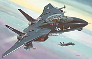 GRUMMAN F14A BLACK TOMCAT 1/144
