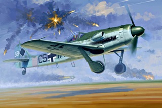 FOCKE WULF 190D-12 1/48