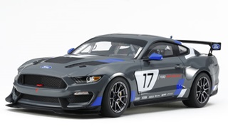 FORD MUSTANG GT4 1/24