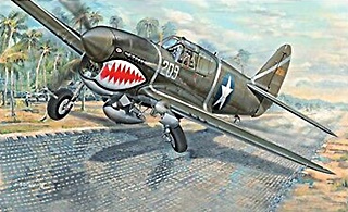 CURTISS P40 F WARHAWK 1/32