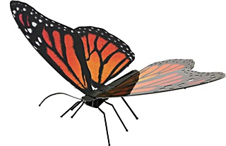 ANIMAL PAPILLON MONARQUE