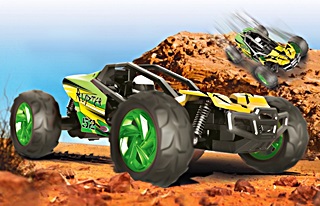 BUGGY RUPTER RC 1/14