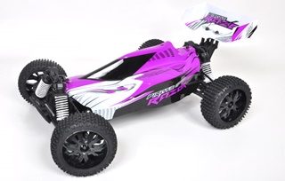 BUGGY PIRATE RAZOR VIOLET EP NIMH